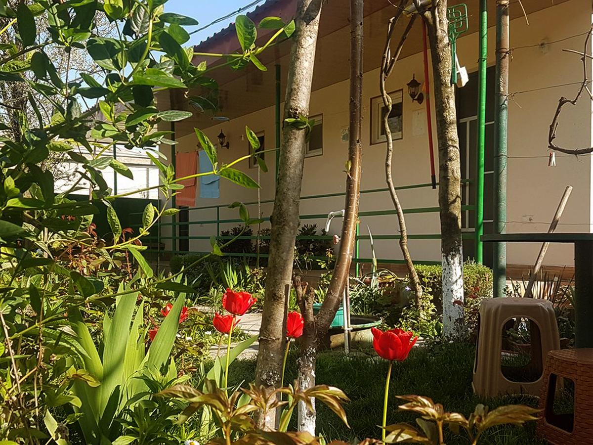 Guest House Villa Kvareli Eksteriør bilde